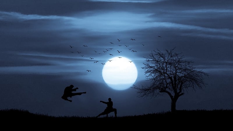Sun Style Martial Arts